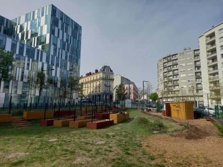 Vue d'ensemble du jardin Denfert avec ses bacs en bois et sa pelouse, au pied d'un immeuble de verre