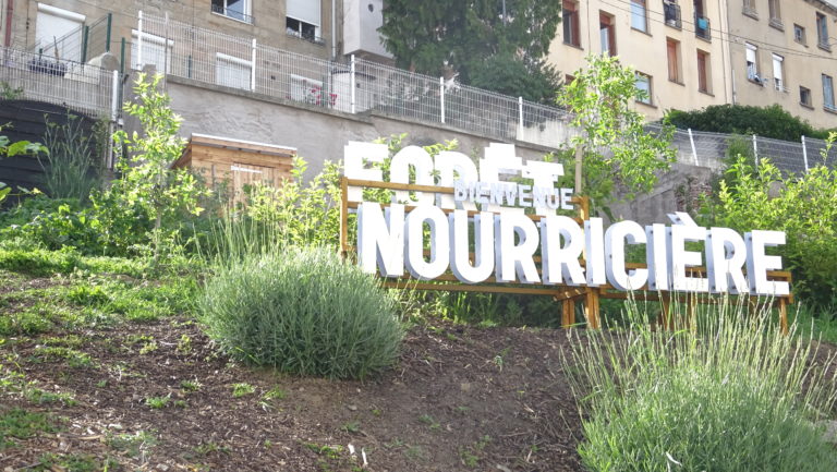 Panneau « Forêt Nourricière » entouré de plantes aromatiques et de végétation