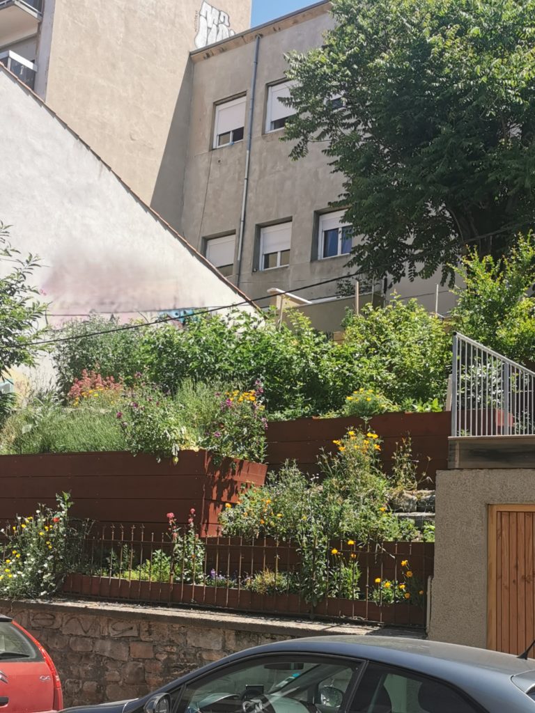Jardin en terrasses aux bacs de culture fleuris, entre immeubles et rue